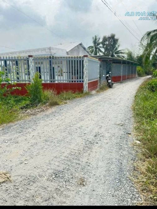 Bán đất + Nhà vuờn 1200m2 view kênh mỹ an_Thủ Thừa giá 2 tỷ đường ôtô bự giá ngộp - 5