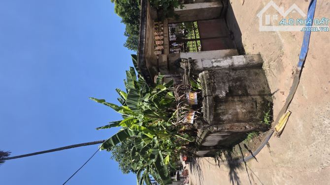 B.Á.N ĐẤT  ĐAN PHƯỢNG 317M2, 17 TỶ  ,LÔ GÓC 2 MẶT ĐƯỜNG Ô TÔ THÔNG, CHIA LÔ RẤT ĐẸP. - 5