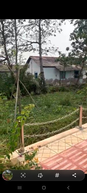 3237m2 full tc 2 mặt tiền nhựa và bờ kè sông Cần Giuộc nghỉ dưỡng phân được 6 lô giá 20tr/ - 6