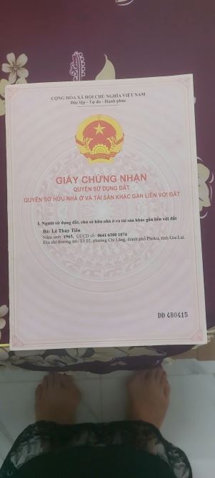 Đường Trường Chinh, Phường Hội Phú, Thành phố Pleiku, Gia Lai - 9