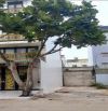 🏡Đất Nền Chính Chủ Quận 8, P.7, Gần Phạm Thế Hiển & Nguyễn Văn Linh, DT 80M2 Chỉ 4.5 Tỷ