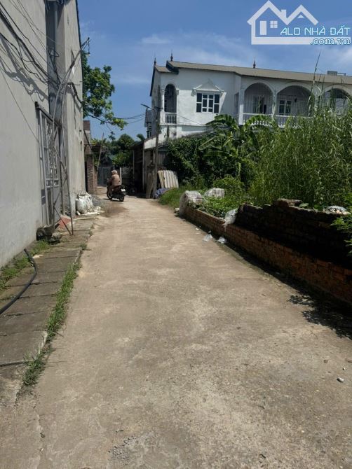 Hàng hiếm giá 2x triệu/m 👉 tự nhiên -thường tín
