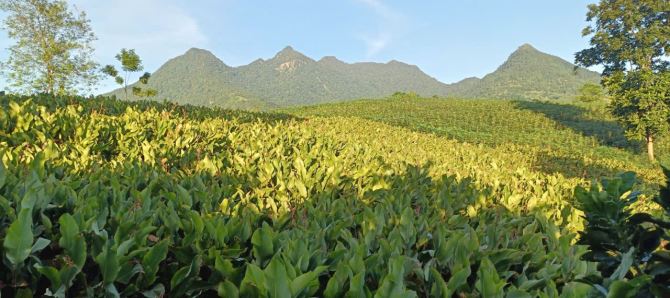 Đất đẹp Vân Hòa, Yên Bài, Ba Vì 329m, mặt đg Khoang Xanh, TT xã, nở hậu, view đẹp, 3.55tỷ