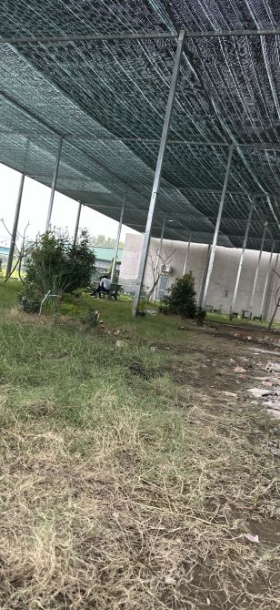 Bán gấp đất chính chủ của cô chú 6 lớn tuổi
