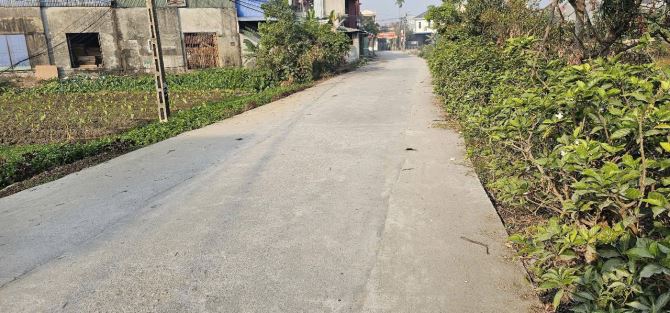 Bán 103,5 m2 đất Kinh Dao Tân Tiến An Dương