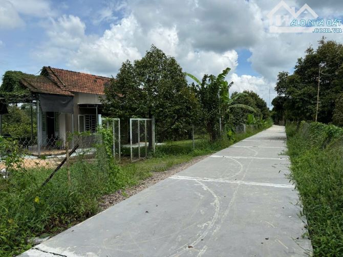 Bán Nhà Vườn Cây Ăn Trái 4000 m2 ở Xuân Quế,  Cẩm Mỹ Tỉnh Đồng Nai.  • Hiện trạng giống nh