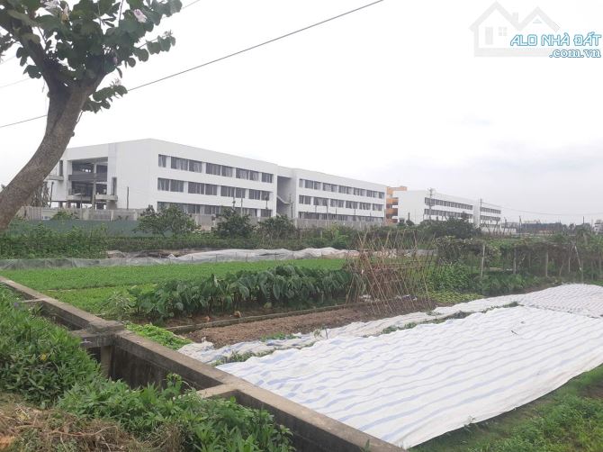 🔥 BÁN ĐẤT TẶNG NHÀ 3 TẦNG – NGÕ Ô TÔ TRÁNH – SÁT QL5 & KCN BẮC THĂNG LONG