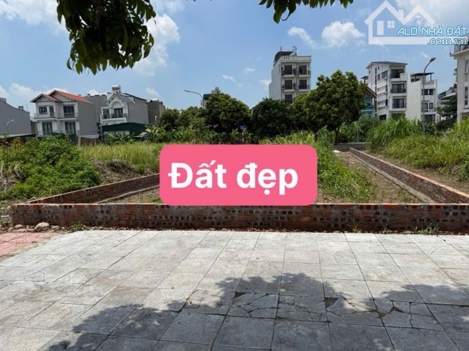 CẦN BÁN ĐẤT ĐẤU GIÁ CỰ KHỐI LONG BIÊN HÀ NỘI.