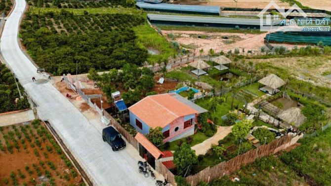 BÁN ĐẤT CAM LY ĐÀ LẠT - 8010M2, 338M2 THỔ CƯ, QUY HOẠCH FULL THỔ, GẦN CÁC ĐIỂM DU LỊCH