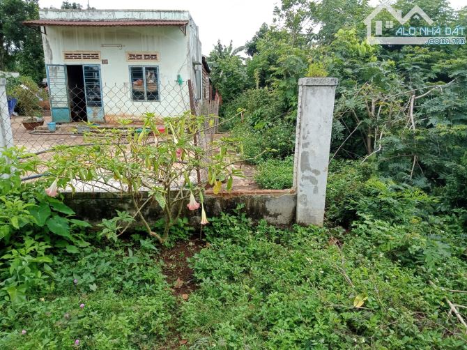 ■ LÔ GÓC NGÃ TƯ 10X20 (M) SỔ ĐỎ, HÒA ĐÔNG – KRÔNG PẮC, KHU TARA TOWN - 1