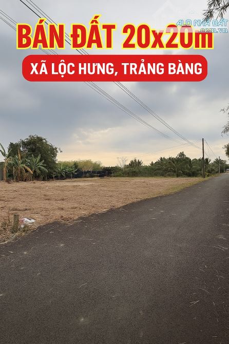 Bán đất 20x20m xã Lộc Hưng Trảng Bàng – Sổ hồng riêng, giá 1.6 tỷ đường hương lộ 2
