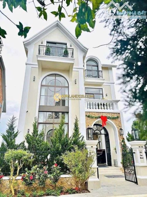BÁN VILLA 4 TẦNG (224M², NGANG 11.56M) VIEW RỪNG THÔNG – KINH DOANH TỐT
