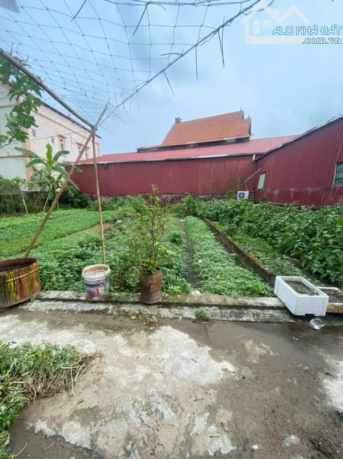 ĐẤT 94.3M² TẠI CỔ BI – GIA LÂM -MT 5M 4.15 T.Ỷ