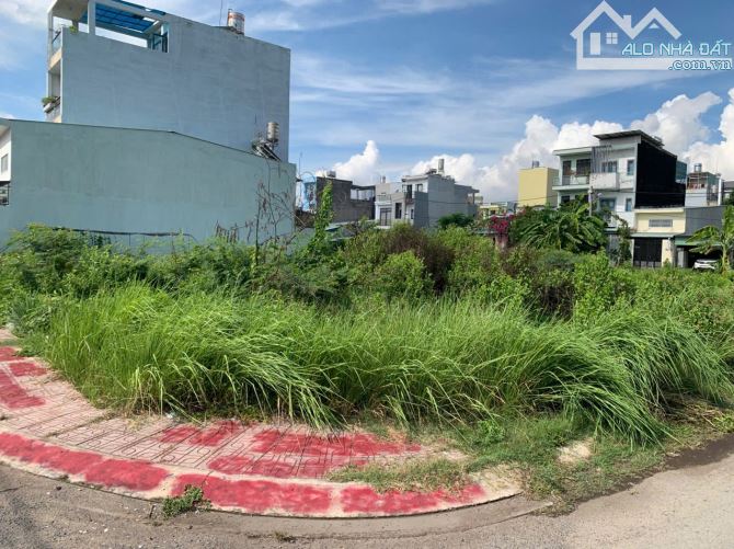 Bán nhanh đất thổ cư + trồng cây 305,4m² tại Phú Hữu, TP Thủ Đức