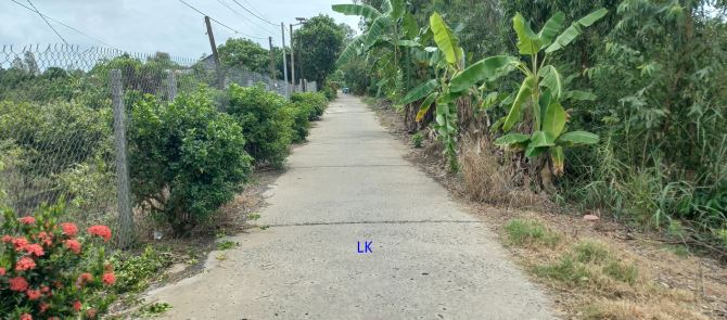 🔰Bán nền: 935m² (11m x 83m, thổ 150m², còn lại CLN) 🔰Đường đan 3m, xã Phong Mỹ