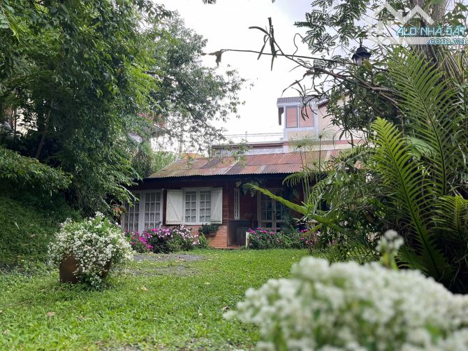 ✨🏡 BÁN ĐẤT + NHÀ CẤP 4 VỊ TRÍ SIÊU ĐẸP – HẺM Ô TÔ LỚN ĐƯỜNG QUANG TRUNG, P9, ĐÀ LẠT ✨