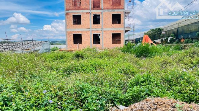 ✨🏡✨ CẦN BÁN ĐẤT ĐƯỜNG THÁI PHIÊN – P.12 – ĐÀ LẠT ✨🏡✨