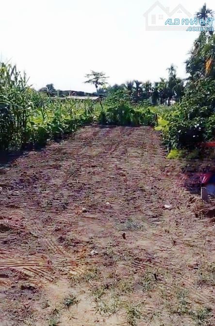 Bán lô đất 5x24m hẻm 416 Nguyễn Trãi, P Nghĩa Lộ ( P. Quảng Phú cũ), Quảng Ngãi