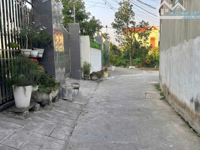 🔥Bán lô đất Quỳnh Cư, Hùng Vương, Hồng Bàng, 81m2, giá chỉ 1,29 tỷ  🍀Diện tích: 81,3m -