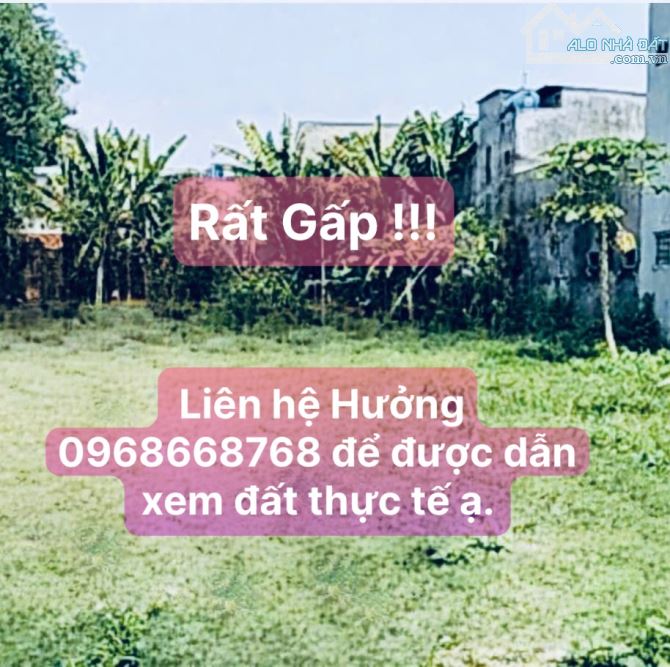Bán Đất Gấp Mặt Tiền Hóc Môn - 452M2 (11 x 40 )- Đường 6M-  Chỉ 21,5 Triệu/ M2.