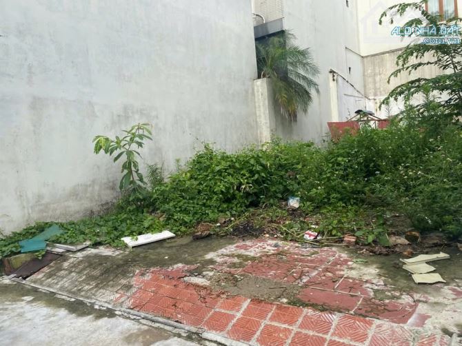 Bán đất Mai Lâm,Đông Anh,58m2, 6 tỉ,ngõ ô tô tránh,hàng xóm Vinhomes Cổ Loa, cầu Tứ Liên