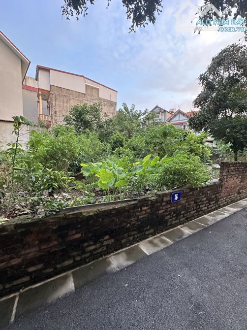 Bán gấp mảnh đất 48m² Tại Đồng Nhân, Hải Bối, Đông Anh. ( xã Vĩnh Thanh)