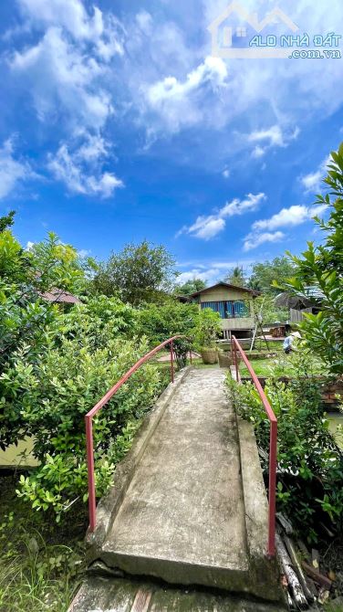 Homstay nghĩ dưỡng hơn 3000m2 view sông mát mẻ - 10