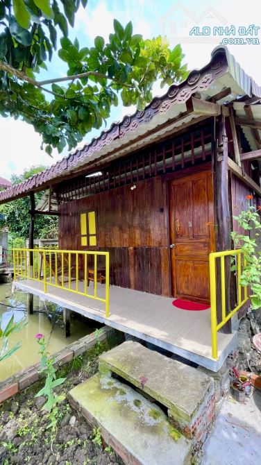Homstay nghĩ dưỡng hơn 3000m2 view sông mát mẻ - 11