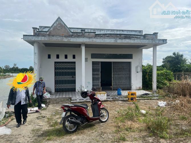 Kẹt tiền cần bán gấp 10 công vườn cách lộ ô tô 100m chỉ 1.6 tỏi tại Phương Bình, PH, HG - 1