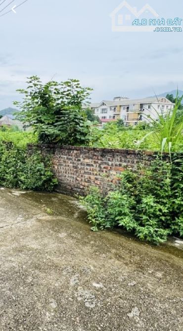 🔥 BÁN ĐẤT SIÊU ĐẸP – VỆ LINH ,PHÚ LINH, SÓC SƠN, HÀ NỘI 🔥 📏 Diện tích: 197m² – Mặt tiền - 1