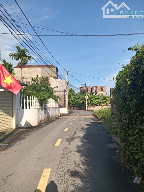 Hàng hiếm giá 2x triệu/m 👉 tự nhiên -thường tín - 1