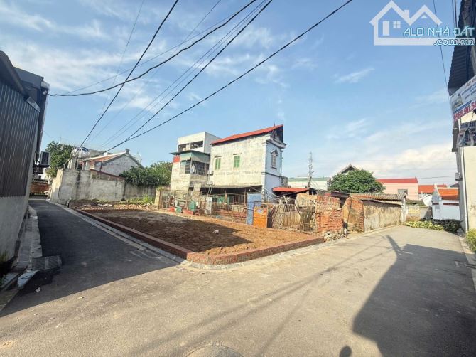 Bán lô đất tại đình trung xã thư lâm ( xuân nộn đô anh cũ ) dt 90.2m giá 6.3 tỷ - 1