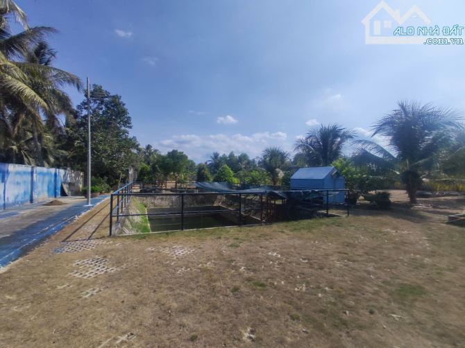 CHO THUÊ KHO XƯỞNG 6000m2 ĐƯỜNG CONTAINER GẦN KCN AN HIỆP,CHÂU THÀNH,BẾN TRE - 1