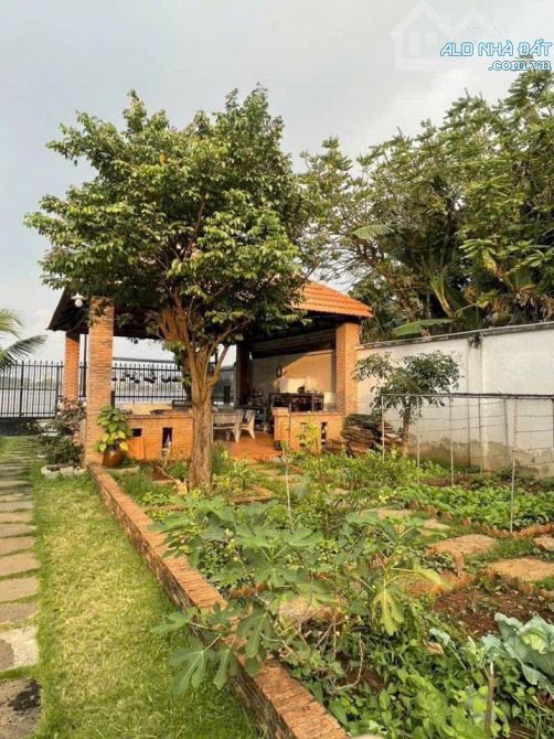 NHÀ VƯỜN 515M² VIEW SÔNG P BỬU HÒA - 1