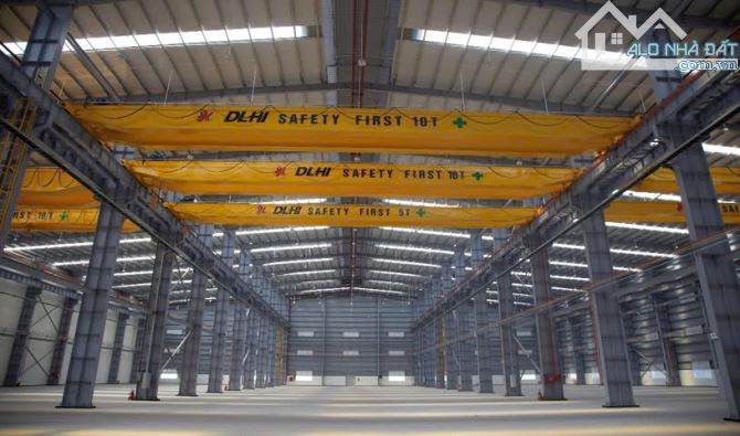 Cho thuê kho xưởng 3500m2 - 20.000m2 CCN Hoàng Gia, KCN Thái Hoà, Đức Hoà, Long An - 1