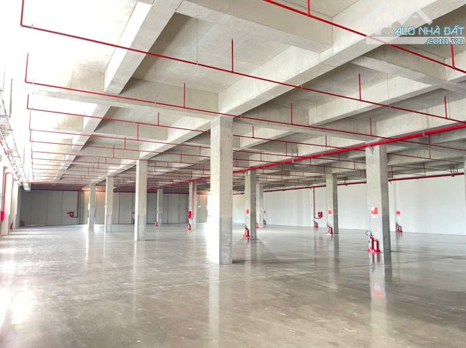 Cho thuê kho xưởng KCN Xuyên Á, Mỹ Hạnh Bắc, Đức Hòa, Long An 4000m2, 6000m2, 12.000m2 - 1