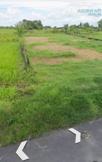 Bán 1500m2 đất tiện phân lô vuông vức 70x22m, Tân An Hội, Củ Chi, Giá nhỉnh 3,4 tỷ TL - 1