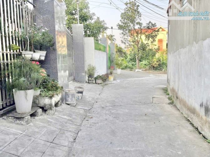 Bán đất 81m2 ngõ 3m tại Quỳnh Cư, Hùng Vương, Hồng Bàng giá 1,29 tỷ - 1