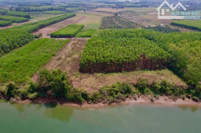 Bán Đất DT 5200M2 View Sông Đồng Nai -  Bình Lợi - Vĩnh Cửu - 1