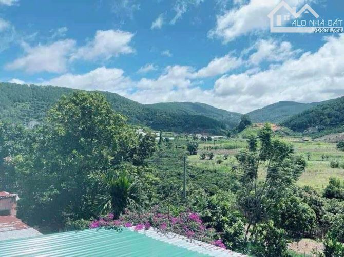 BÁN ĐẤT CAM LY ĐÀ LẠT - 8010M2, 338M2 THỔ CƯ, QUY HOẠCH FULL THỔ, GẦN CÁC ĐIỂM DU LỊCH - 1