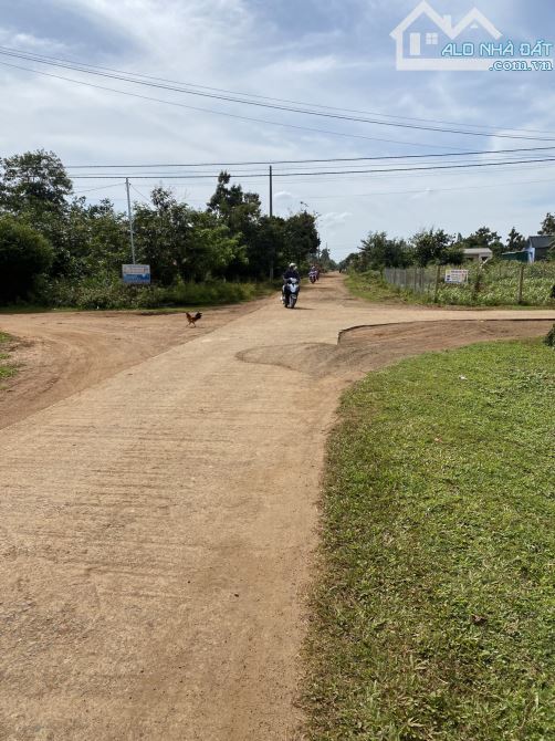 ■ LÔ GÓC NGÃ TƯ 10X20 (M) SỔ ĐỎ, HÒA ĐÔNG – KRÔNG PẮC, KHU TARA TOWN - 2
