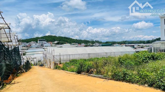 ✨🏡✨ CẦN BÁN ĐẤT ĐƯỜNG THÁI PHIÊN – P.12 – ĐÀ LẠT ✨🏡✨ - 1