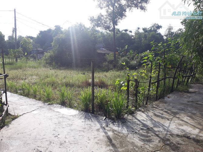 Bán lô đất cách khu công nghiệp Phong Điền 11km - 1