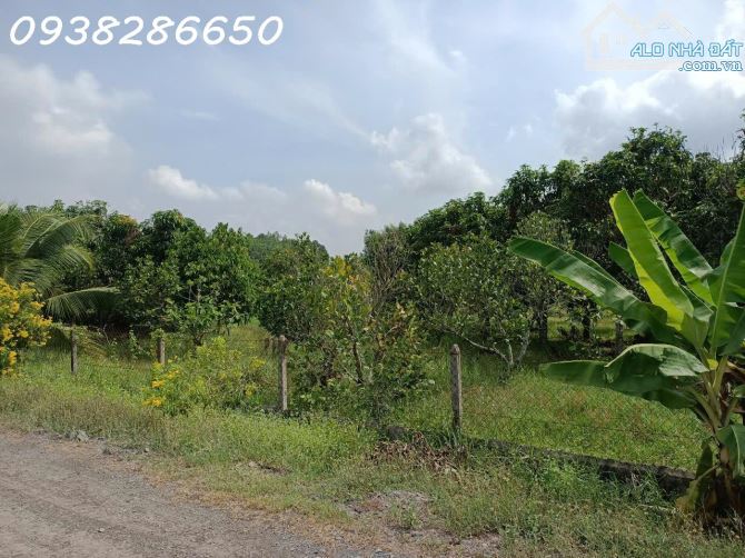 Bán Mảnh Đất tại xã Trung Lập Hạ H Củ Chi rộng; 3375m2 , Giá 9,2 Tỷ TL - 1