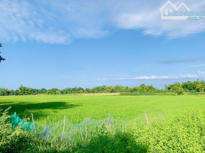 Điện Phương - View Lúa Trực Diện - Cách Hội An 5km - 1100m2 - MT 22m - Oto - 3ty2. - 1
