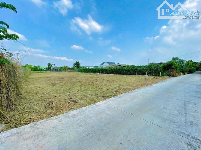 300 thổ + 290m đất vườn Mỹ Lộc Cần Giuộc đường thông giá đầu tư - 1