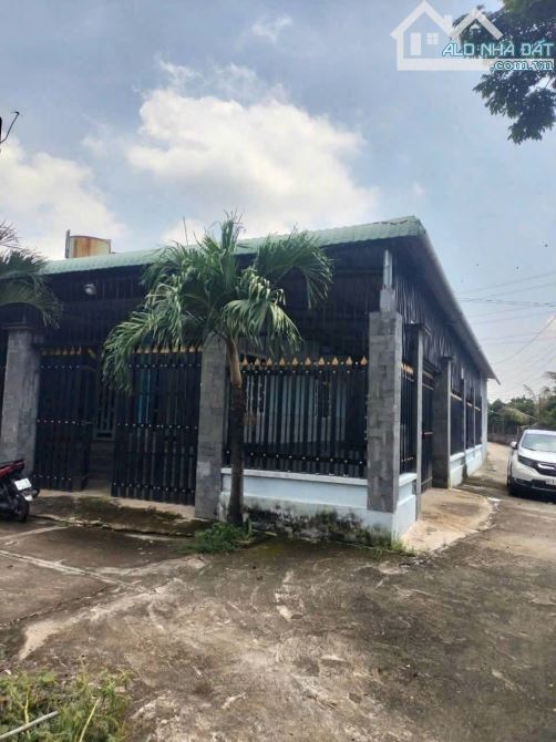 Bán nhà full thổ cư 260,3m ngay UBND Phường Tân Triều, Biên Hòa, Đồng Nai(gồm 2 lô góc) - 1