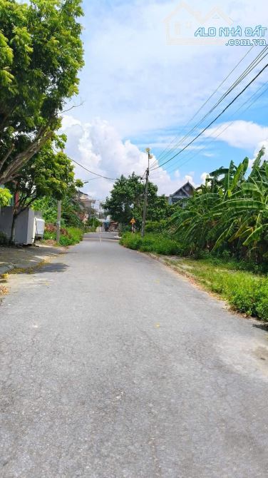 Bán 288,8m2 đất tuyến 1 chung cư Cách Thượng, Nam Sơn, An Dương, Hải Phòng. 5,6 tỷ - 1