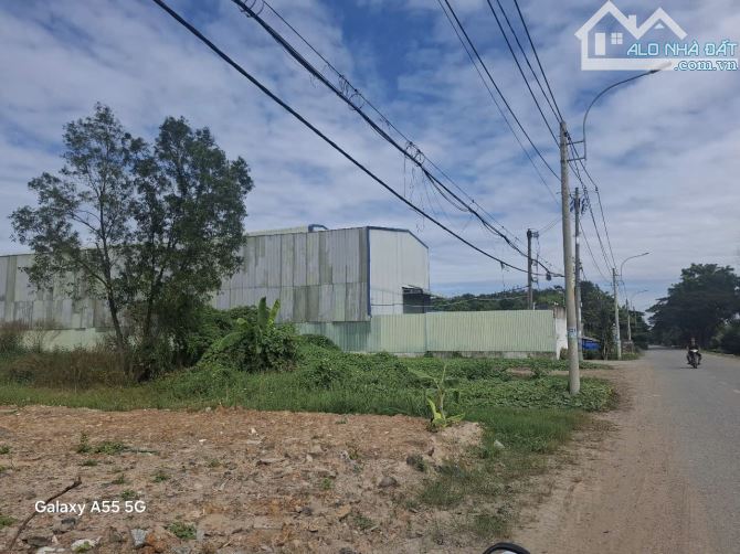 Bán 2500m2 đất có thổ cư đường Võ Hữu Lợi, Huyện Bình Chánh, TP HCM - 1