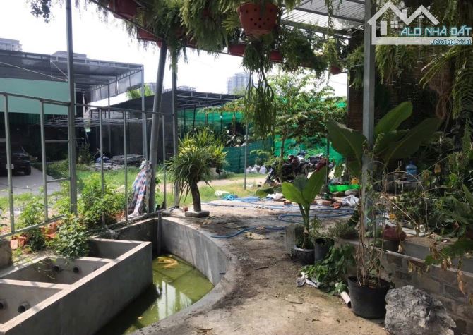 cho thuê đất mặt tiền đường Nguyễn Văn Linh giá rẻ - 1